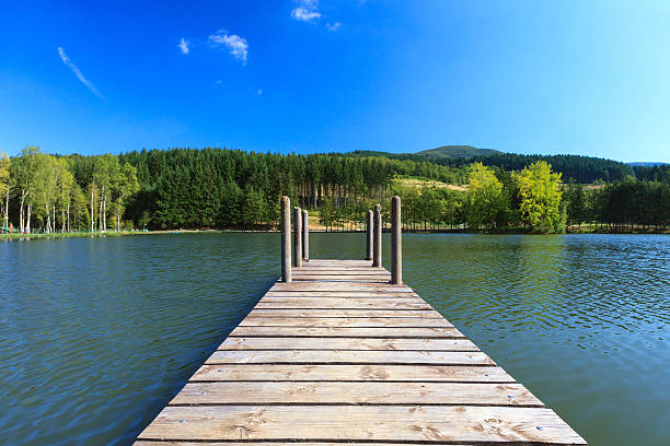 istock Wooden pier on the lake 466495953