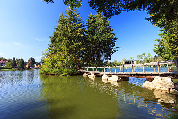 istock Wooden bridge on the lake 466496031