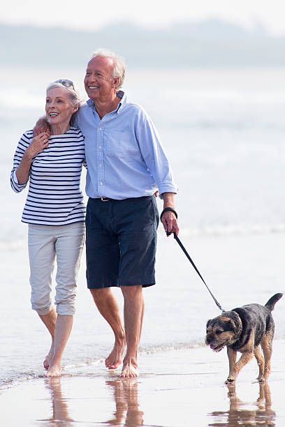 istock Dog Walking on the Beach 466496327