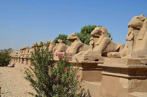 istock Avenue of the Sphinxes in Luxor 466497192