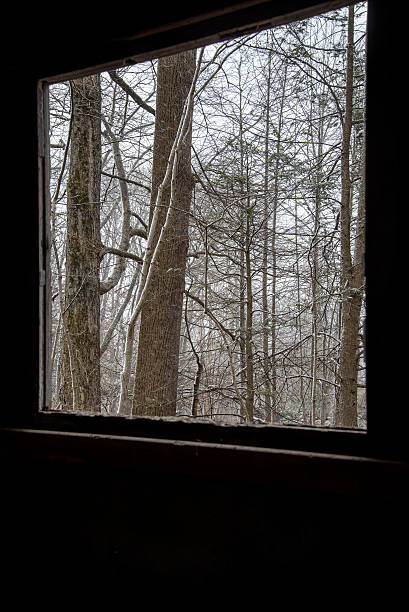 istock View of winter trees through a window 466498991