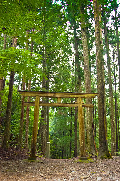 istock Sacred Trail - Kumano Kodo 466501016
