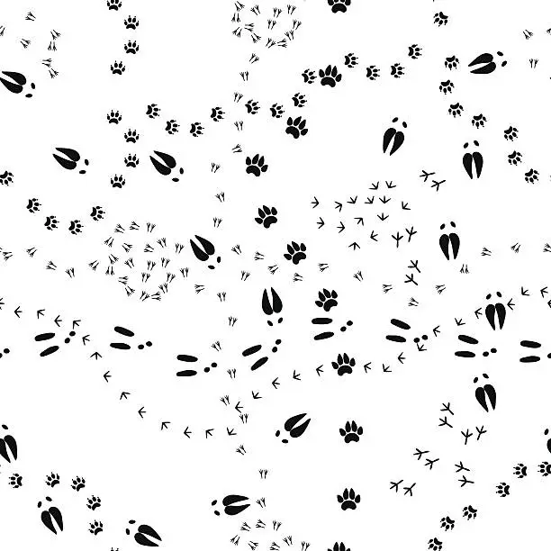 Vector illustration of Animal tracks
