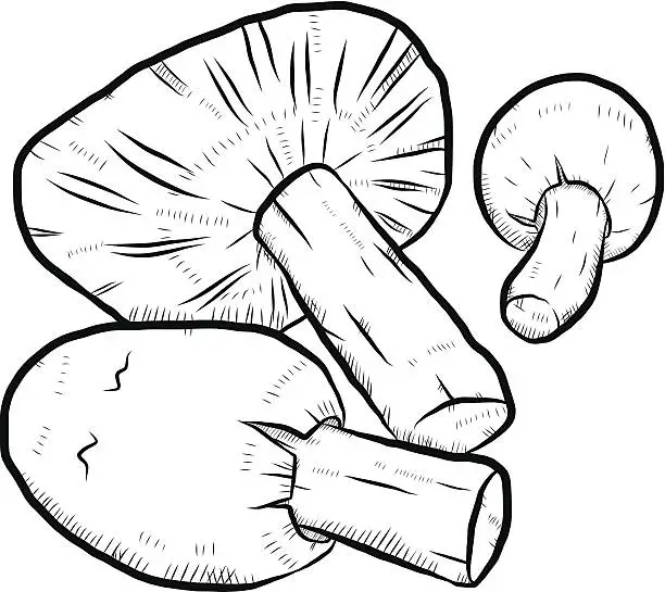 Vector illustration of mushroom cartoon drawn