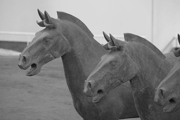 horseheads z xian terakotowa warriors tomb. - horse terracotta soldiers china terracotta zdjęcia i obrazy z banku zdjęć