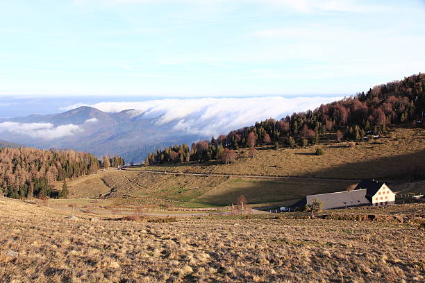 istock The Vosges, France 466505963