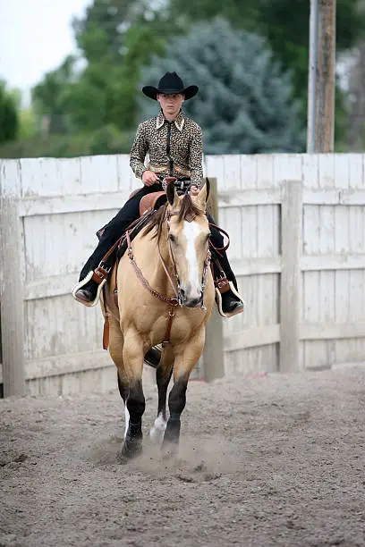 cowgirl contestant riding a horse in an arena during the fair and rodeo