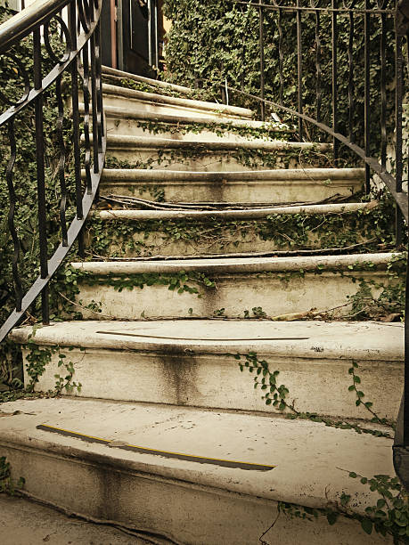 Photograph taken with Canon G15 Powershot Camera in daylight. It is a low angle depiction of Ivy covered curved staircase and black metal railing in Savannah, Georgia. The green ivy covers just some of the stairs and contrasts against the cream color of the cement stairs, which each are lipped.