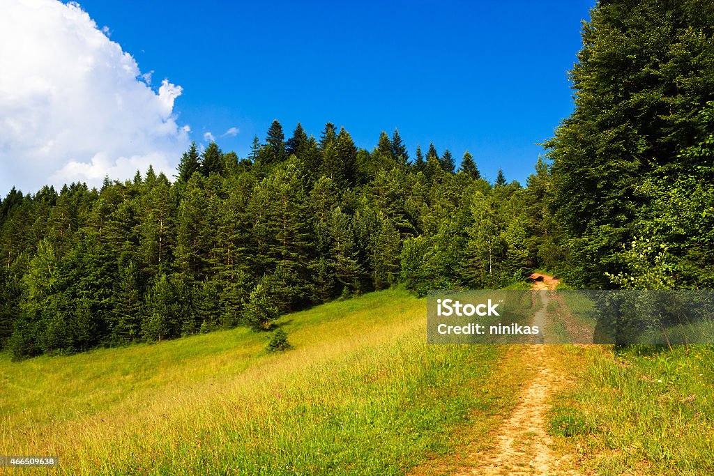 Summer in Beskid 2015 Stock Photo