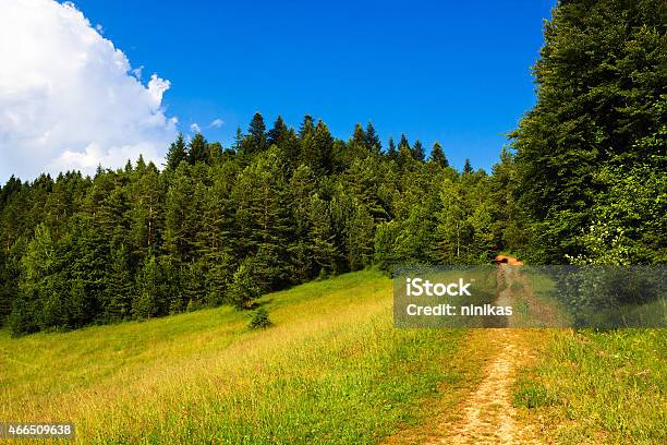 Summer In Beskid Stock Photo - Download Image Now - 2015, Agricultural Field, Beskid Mountains