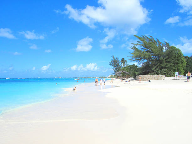 caribe: playa de ensueño - cayman islands fotografías e imágenes de stock