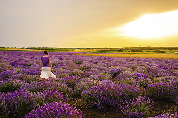 istock Girl in a lavender field. 466512185
