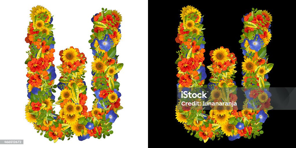 Vegetable alphabet. Letter W of flowers Digital collage of letter W made with flowers 2015 Stock Photo