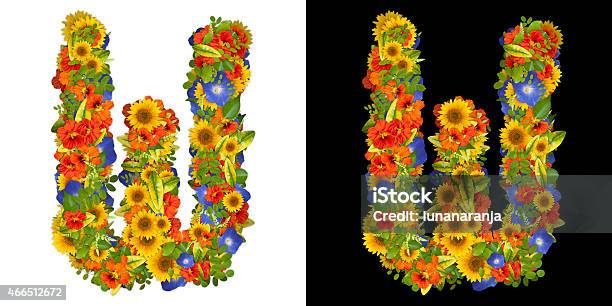 Vegetable Alphabet Letter W Of Flowers Stock Photo - Download Image Now - 2015, Alphabet, Blossom