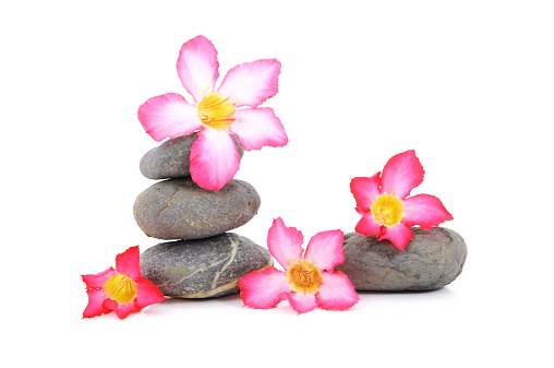 The Zen And Spa Stone With Frangipani Flower Over White Background