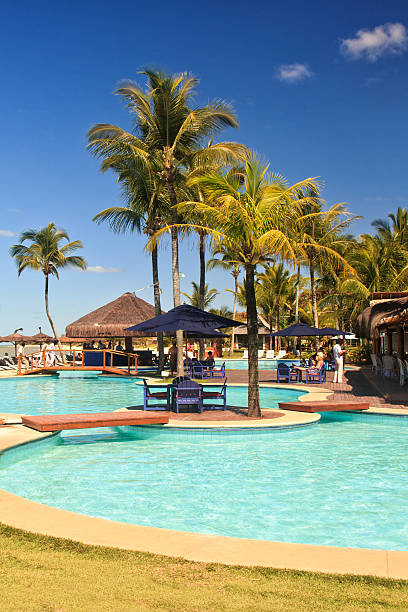 Seaside swimming pool with a mini island on it and coconut trees