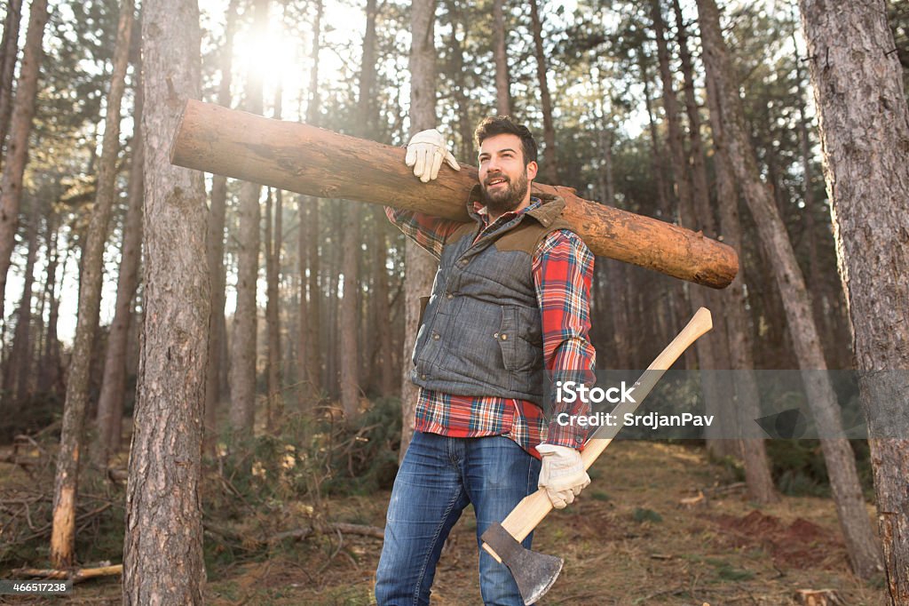 Hardworking Lumberjack Portrait of a young and handsome lumberjack man, carrying a tree trunk on his shoulder, working hard in the forest. Lumberjack Stock Photo