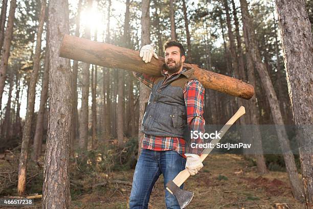 Hardworking Lumberjack Stock Photo - Download Image Now - Lumberjack, Men, Occupation