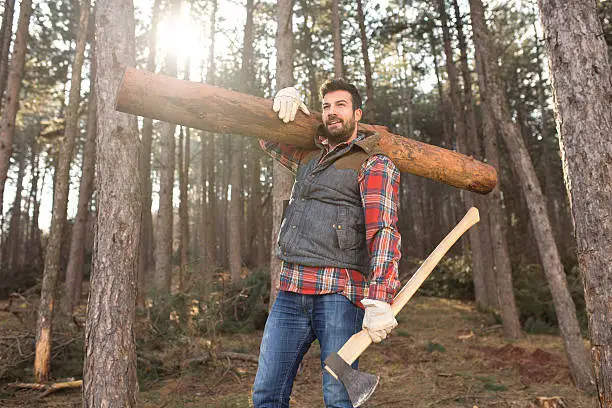 Portrait of a young and handsome lumberjack man, carrying a tree trunk on his shoulder, working hard in the forest.