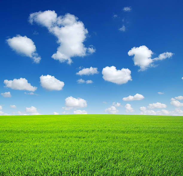 istock A clean view of an open field with clear blue skies 466528056