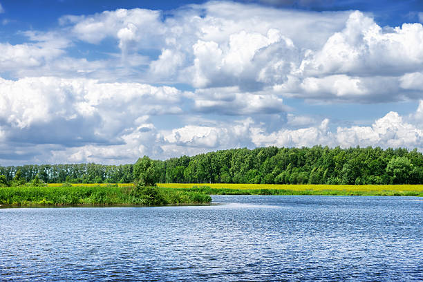 piękne lato krajobraz rzeki w pochmurny dzień - cumulus cloud lake water forest zdjęcia i obrazy z banku zdjęć