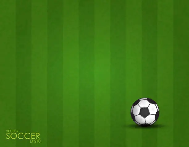 Vector illustration of soccer ball on the field background.