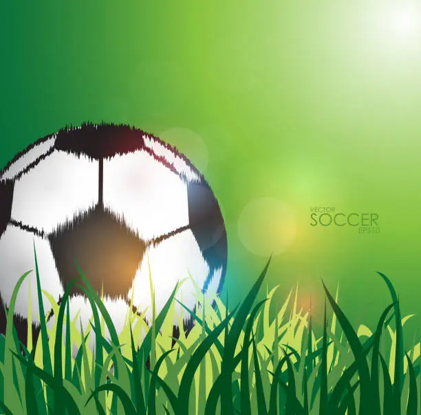 Vector illustration of soccer ball on the field background.