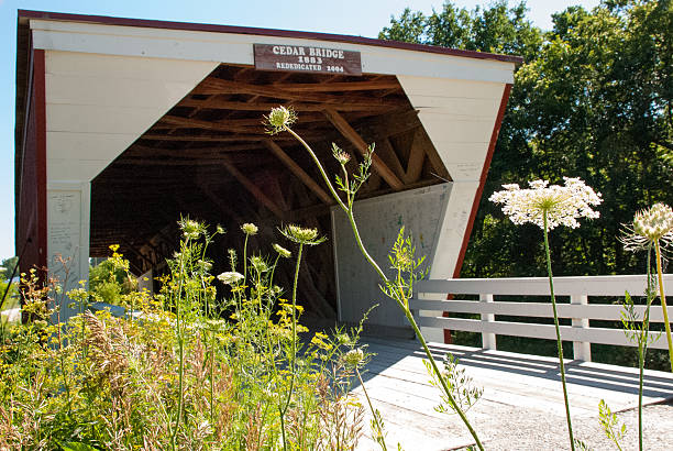 istock Cedar Covered Bridge near Winterset Iowa and Flowers 466544247