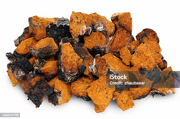 Chagaберезовый Гриб — стоковые фотографии и другие картинки Chaga Fungus - Chaga Fungus, Съедобный гриб, Гриб