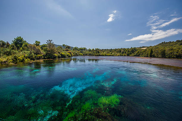 Te Waikoropupu Springs, Neuseeland – Foto