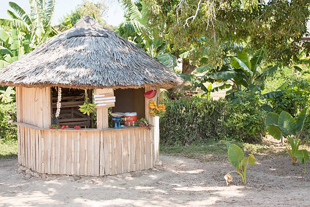 istock Kiosk in Cuba Selling Tropical Fruit 466547315