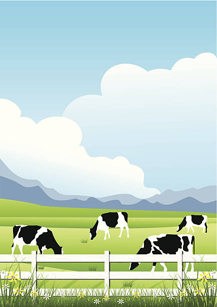 ilustraciones, imágenes clip art, dibujos animados e iconos de stock de paisaje idílico farm - rolling landscape illustrations