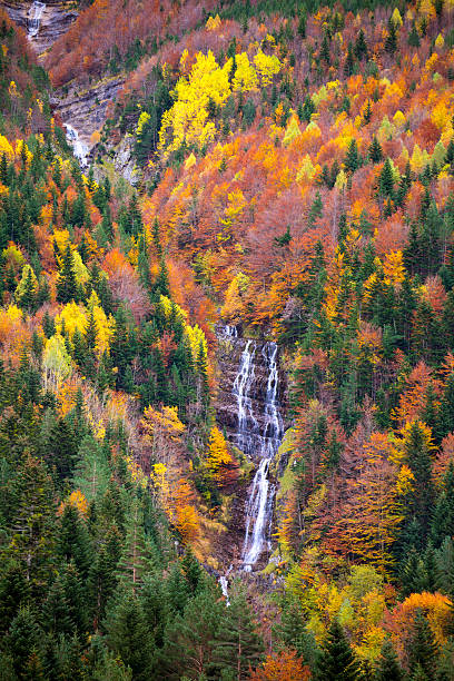 istock Autumn Bujaruelo Ordesa waterfall in colorful fall forest Huesca 466548788