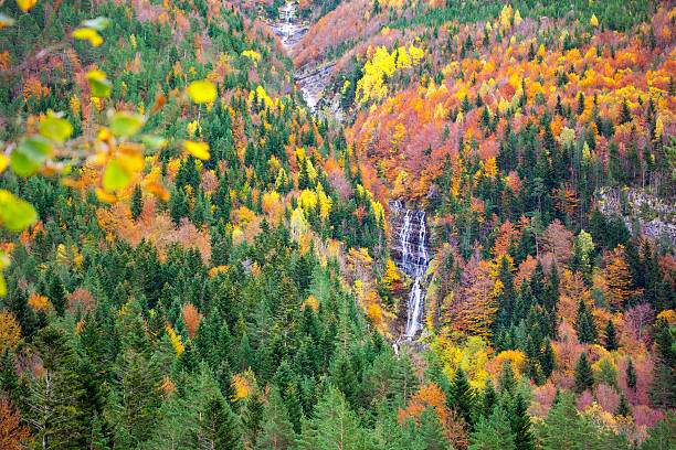 istock Autumn Bujaruelo Ordesa waterfall in colorful fall forest Huesca 466549132