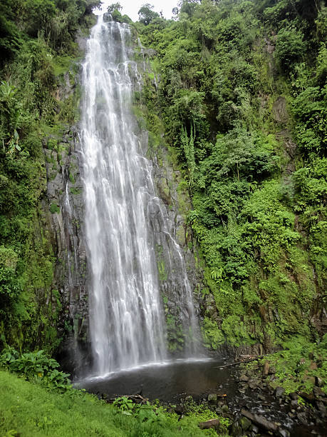istock Kuringe waterfall in Tanzania 466552490