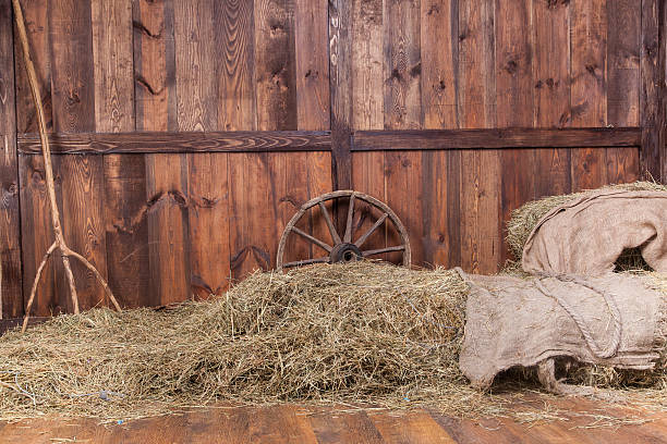 A stack of hay in a barn on the ground stock photo