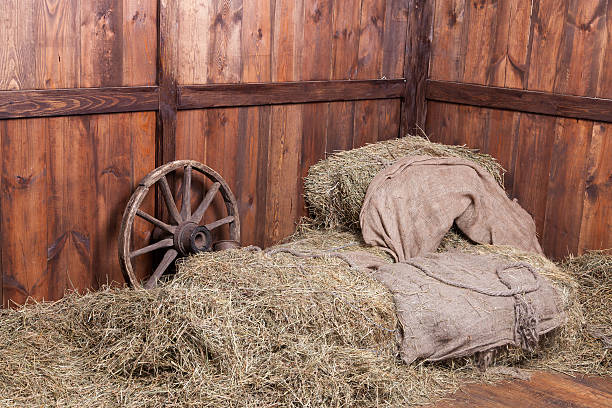istock Wood and hay background 466555285