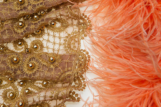 istock Orange boa feathers of birds and piece lace dress 466556607