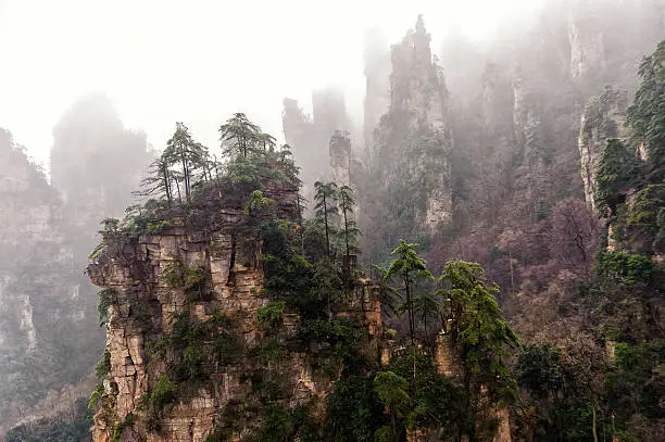 The typical Zhangjiajie mountain in fog.
