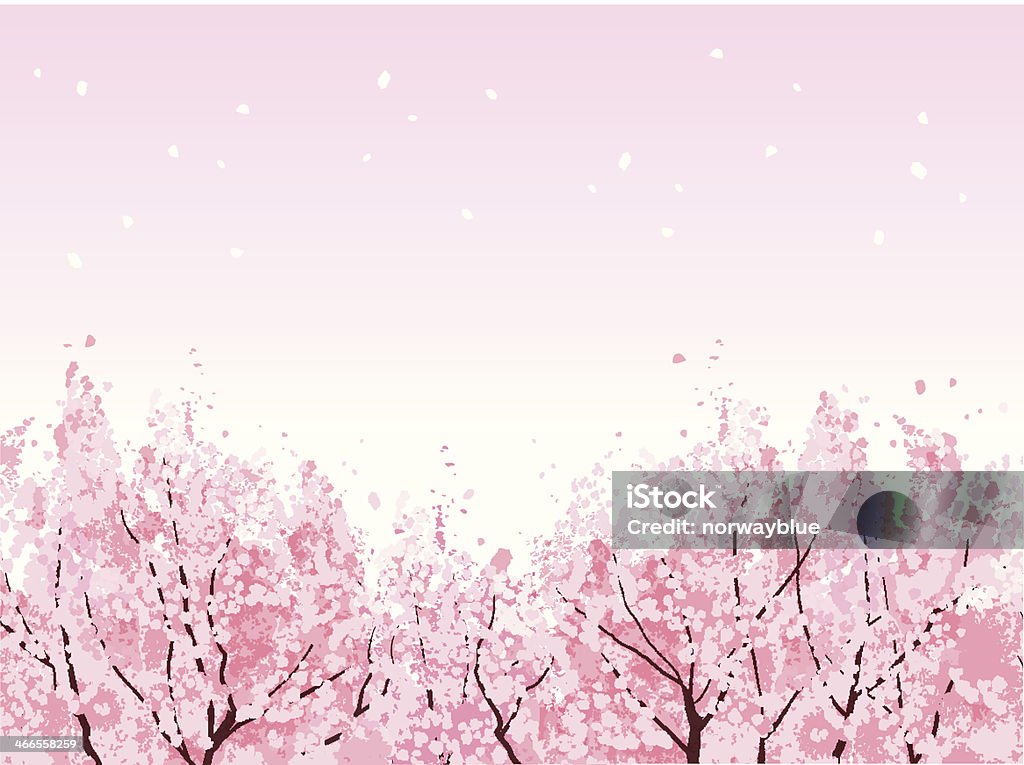 Pełnym rozkwicie piękny Kwiat wiśni drzewa - Grafika wektorowa royalty-free (Kwiat wiśni)