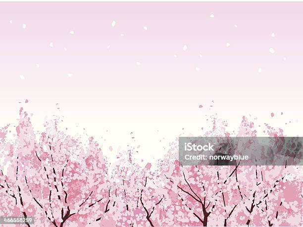 Pełnym Rozkwicie Piękny Kwiat Wiśni Drzewa - Stockowe grafiki wektorowe i więcej obrazów Kwiat wiśni - Kwiat wiśni, Drzewo, Grafika wektorowa