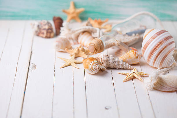 istock Marine items on wooden background. 466562128