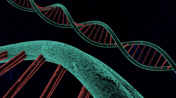 istock chain of deoxyribonucleic acid 466562339