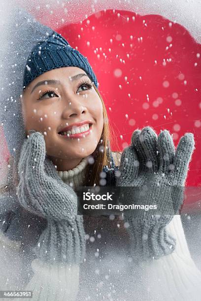 Diversão De Inverno - Fotografias de stock e mais imagens de Adulto - Adulto, Alegria, Asiático e indiano