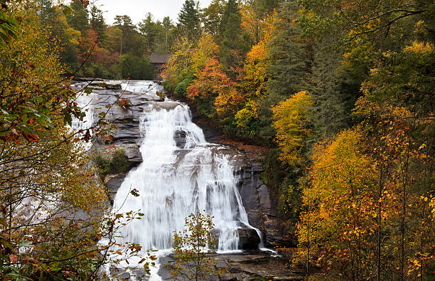 high falls cascade, en caroline du nord - dupont state forest photos et images de collection