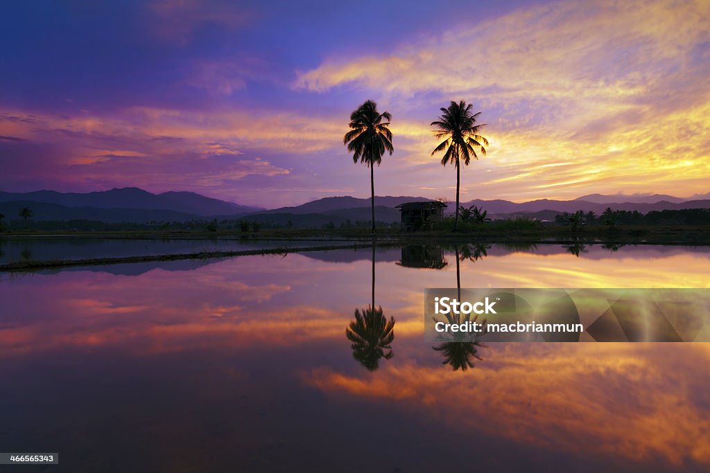 Dramatic reflection of sunset at Sabah, Borneo, Malaysia Dramatic reflection of sunset at a rural place in Sabah, Borneo, Malaysia Asia Stock Photo