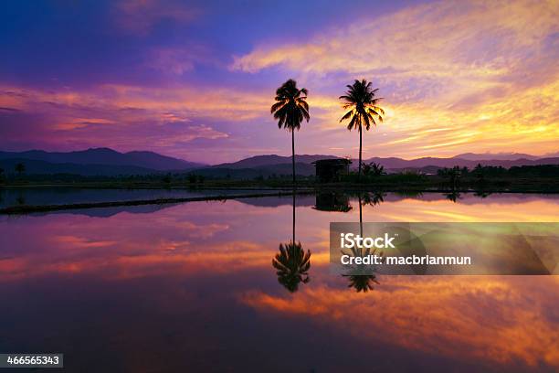 Dramatic Reflection Of Sunset At Sabah Borneo Malaysia Stock Photo - Download Image Now