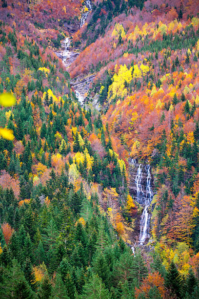 istock Autumn Bujaruelo Ordesa waterfall in colorful fall forest Huesca 466567720