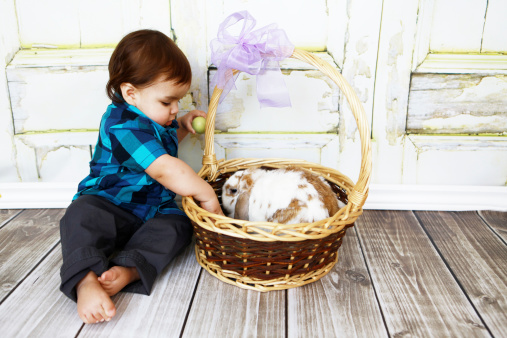 A baby boy, one year old, sits beside a rabbit in an easter basket. Rustic wooden wall behind him.