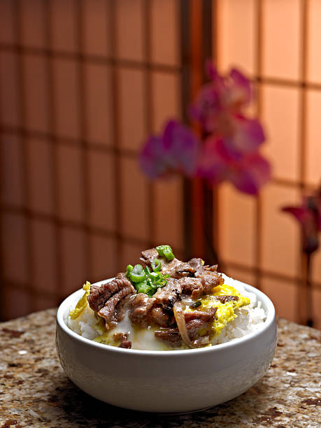 Bulgoki Bulgoki with eggs in a Bowl over white rice. bulgoki stock pictures, royalty-free photos & images